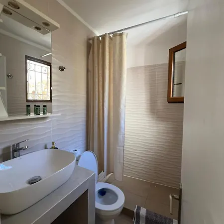 Elina Apartment Batsi (Andros)